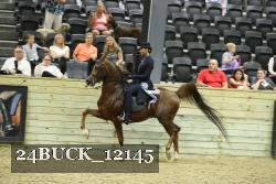 24BUCK_12145 proof