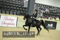 24BUCK_12148 proof