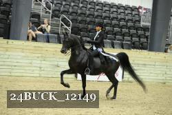 24BUCK_12149 proof