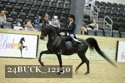 24BUCK_12150 proof