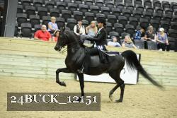 24BUCK_12151 proof