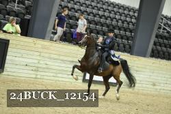 24BUCK_12154 proof