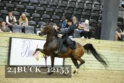24BUCK_12155 proof