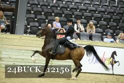 24BUCK_12156 proof