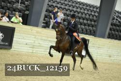 24BUCK_12159 proof