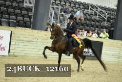 24BUCK_12160 proof