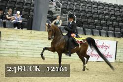 24BUCK_12161 proof