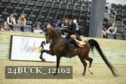 24BUCK_12162 proof