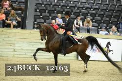 24BUCK_12163 proof