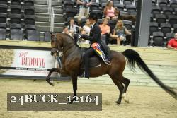 24BUCK_12164 proof