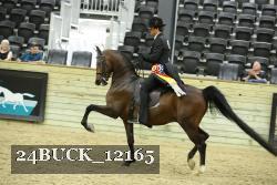 24BUCK_12165 proof