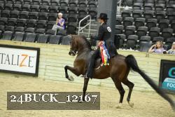 24BUCK_12167 proof