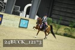 24BUCK_12173 proof