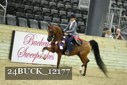 24BUCK_12177 proof