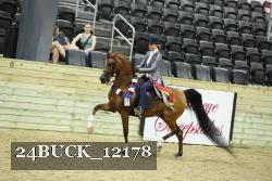 24BUCK_12178 proof