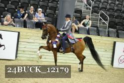 24BUCK_12179 proof