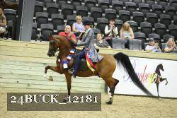 24BUCK_12181 proof