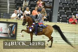 24BUCK_12182 proof