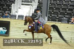 24BUCK_12185 proof