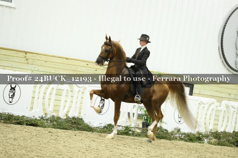 Proof 24BUCK_12193