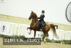 24BUCK_12193 proof
