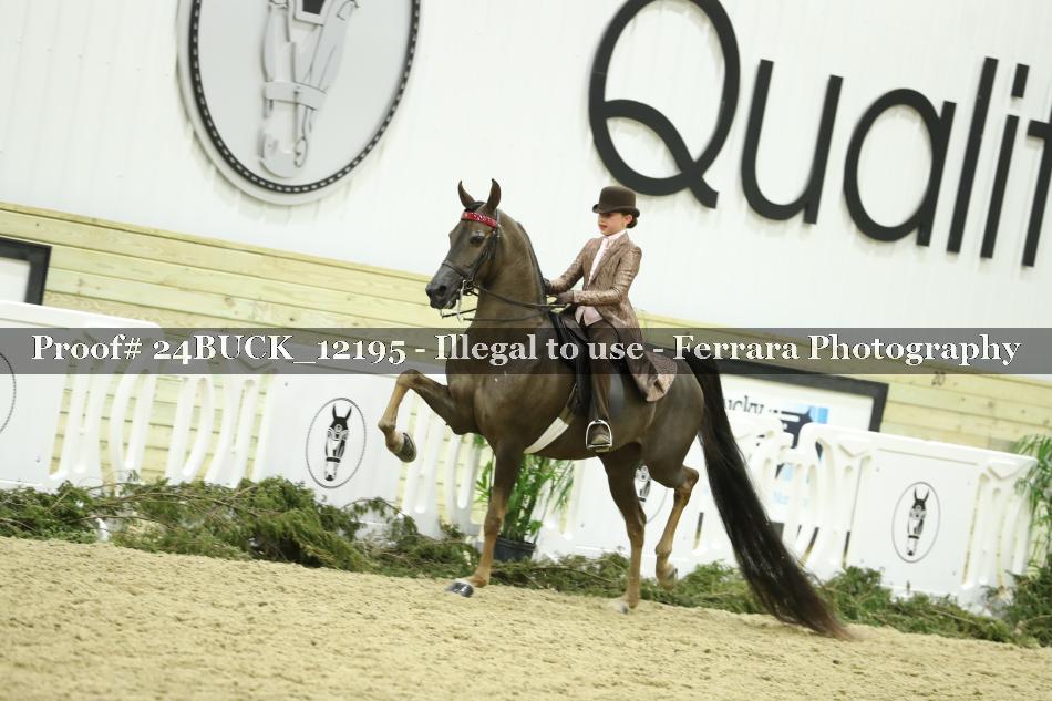Proof 24BUCK_12195