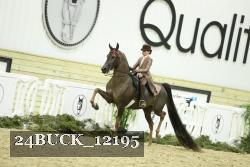 24BUCK_12195 proof