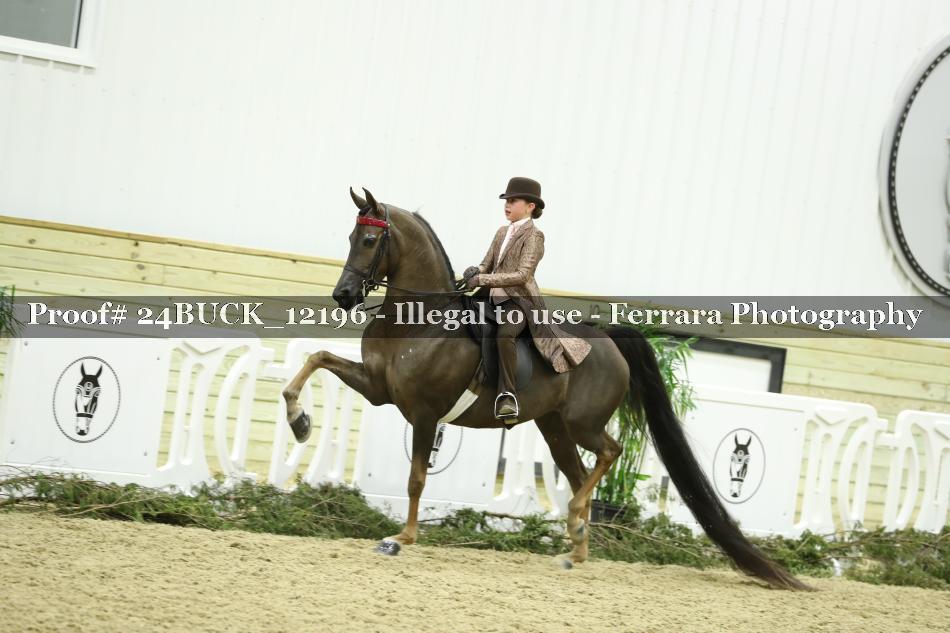 Proof 24BUCK_12196