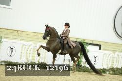 24BUCK_12196 proof