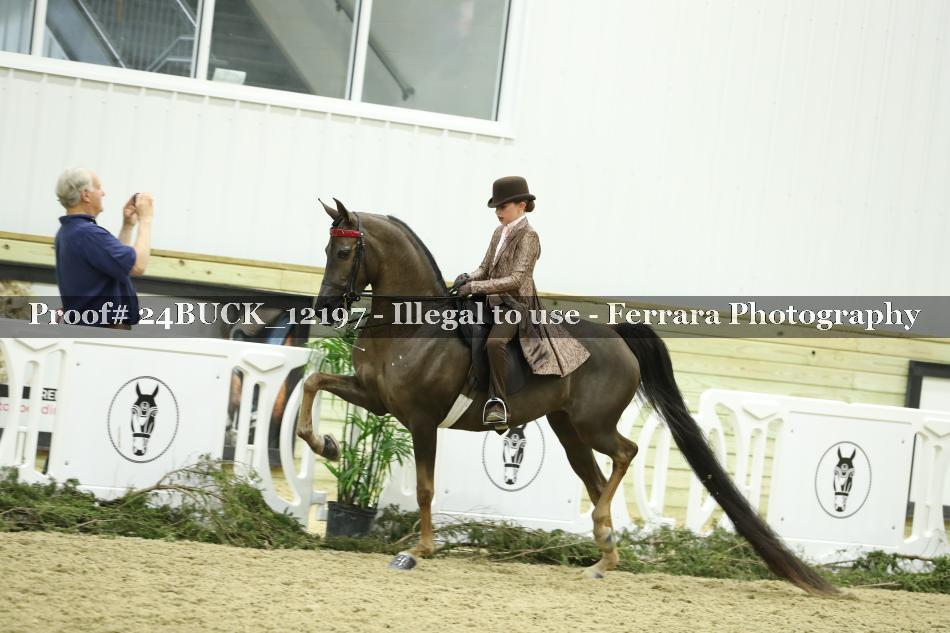 Proof 24BUCK_12197