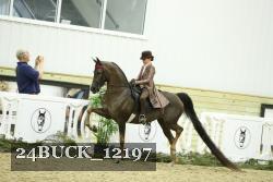 24BUCK_12197 proof