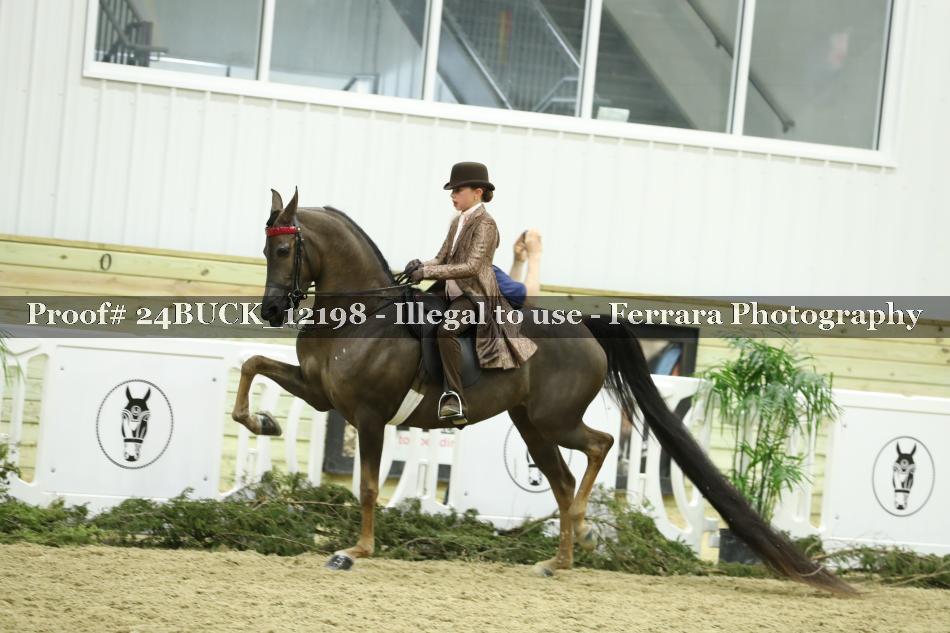 Proof 24BUCK_12198