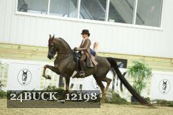 24BUCK_12198 proof