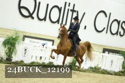 24BUCK_12199 proof