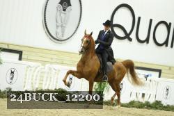 24BUCK_12200 proof