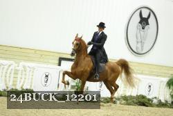 24BUCK_12201 proof