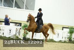 24BUCK_12202 proof