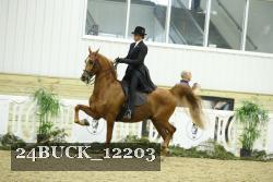 24BUCK_12203 proof
