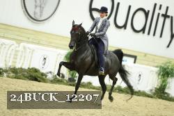 24BUCK_12207 proof