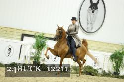 24BUCK_12211 proof