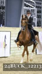 24BUCK_12213 proof