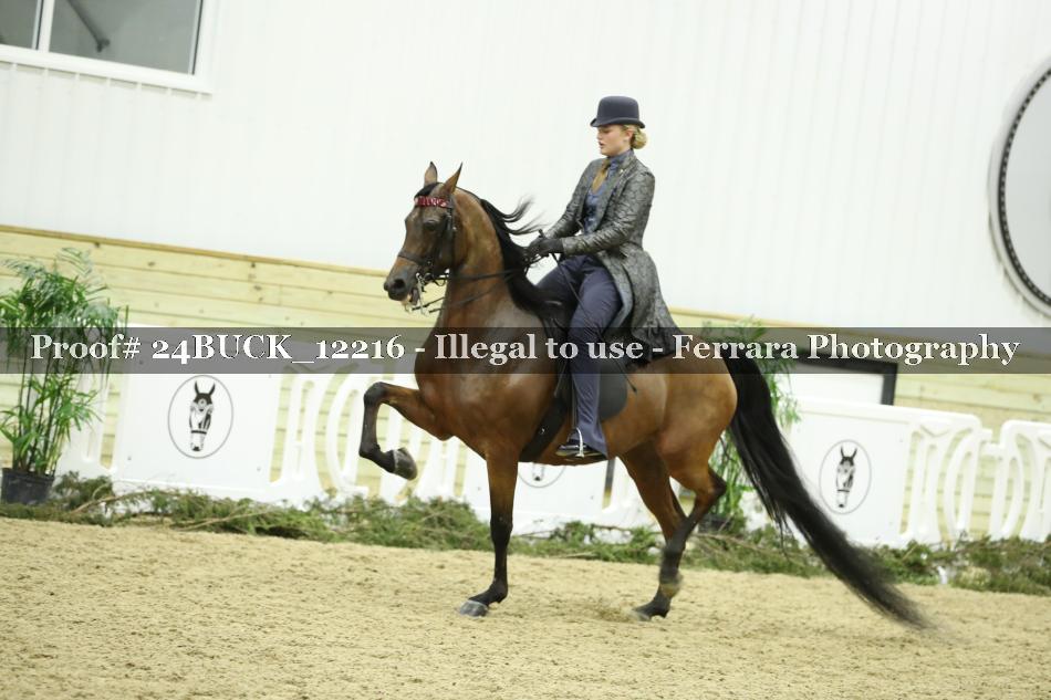 Proof 24BUCK_12216