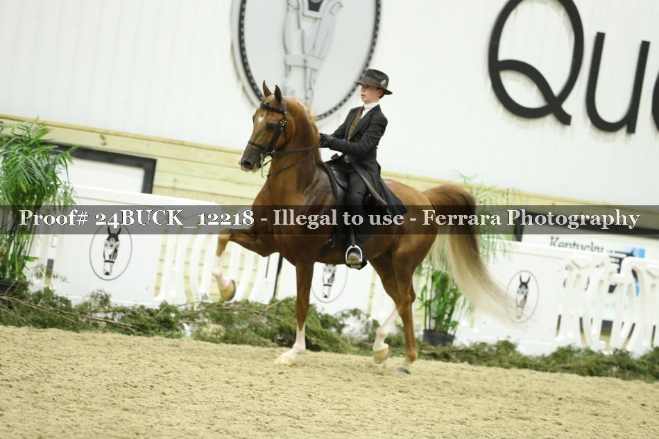 Proof 24BUCK_12218