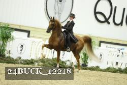 24BUCK_12218 proof