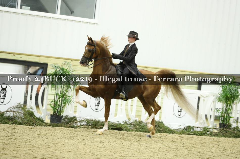 Proof 24BUCK_12219