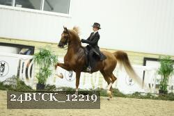 24BUCK_12219 proof