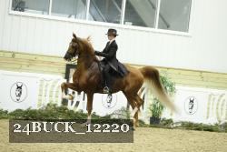 24BUCK_12220 proof