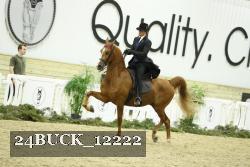 24BUCK_12222 proof