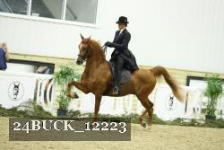 24BUCK_12223 proof