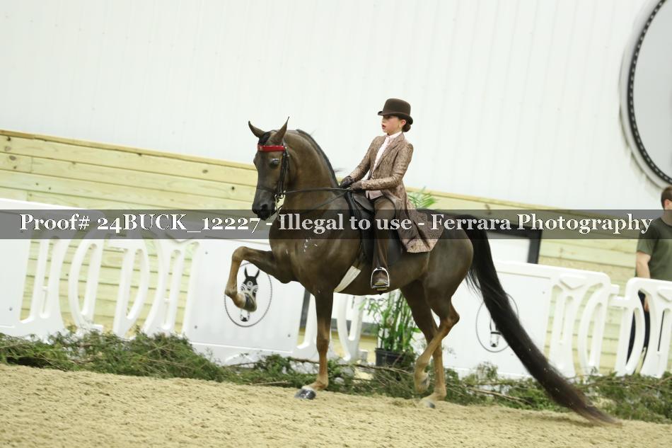 Proof 24BUCK_12227